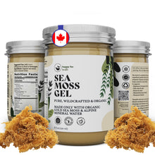 Load image into Gallery viewer, HAPPY FOX Organic Sea Moss Gel Made from Real Seamoss & Alpine Mineral Water. Pure Wildcrafted Sea Moss, Small Batch Made & Approved by Dr Sebi Sea Moss Gel. Shelf Stable, 8 fl oz.