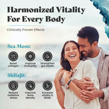 Load image into Gallery viewer, HIMALAYAN SHILAJIT & SEA MOSS | High Grade Healing