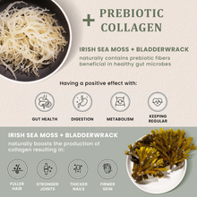 Load image into Gallery viewer, SEA MOSS + ESSENTIALS | Full spectrum with bladderwrack