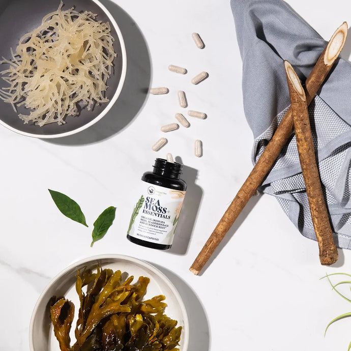 The Foundation To Good Health With Sea Moss + Essentials