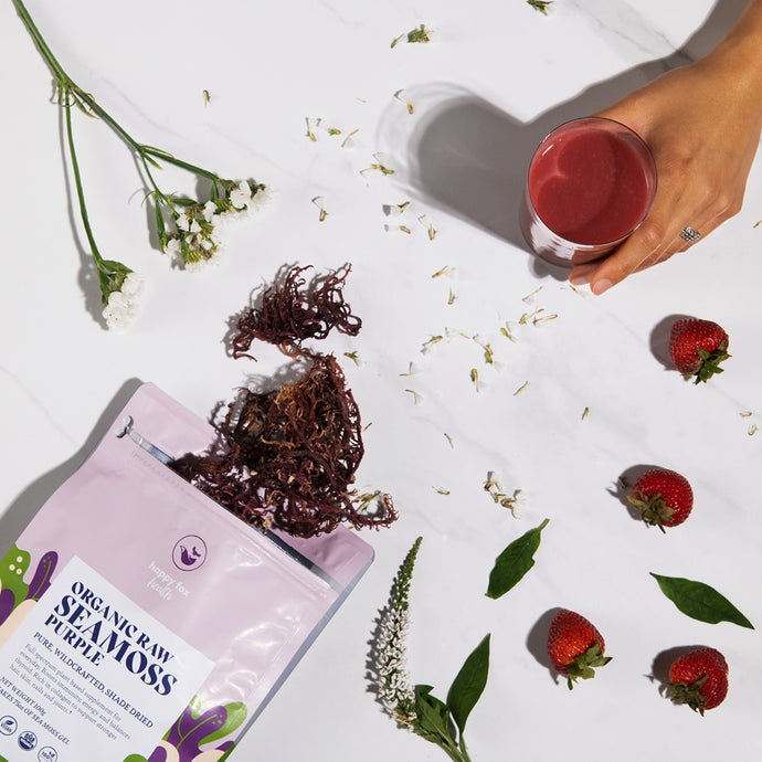 Rare Purple Sea Moss: The Complete Guide for New Users