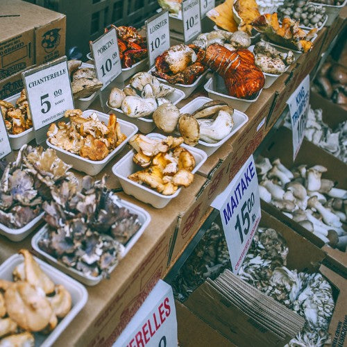 Adaptogens and Nootropics — The Brainfood You Didn’t Know You Need