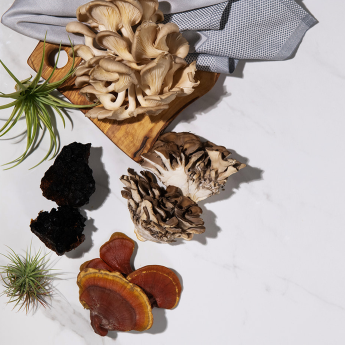 7 Powerful Mushrooms For Your Physical And Mental Health