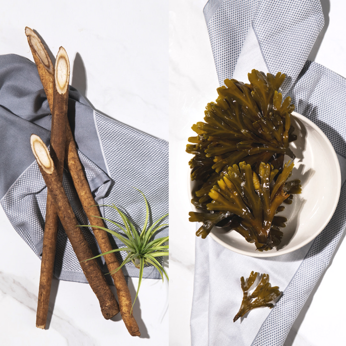 3 Incredible Benefits of Bladderwrack and Burdock Root