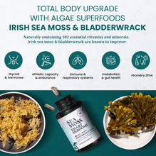 Load image into Gallery viewer, SEA MOSS + SMART SHROOMS CAPSULES | Brain and body functional support
